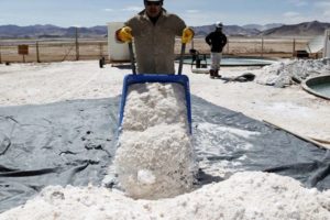 Bolivia explora emitir Bonos Verdes por $us 1.000 millones para financiar la extracción de litio, según Bloomberg