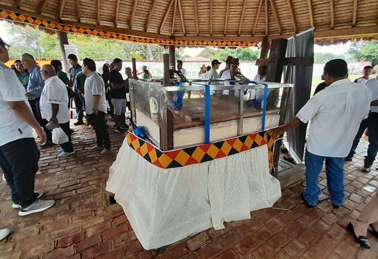 Expo San Javier 2024: el queso más grande pesa 2.100 kilogramos