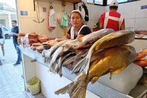 Precios del pescado para Semana Santa: algunos se mantienen y otros suben levemente