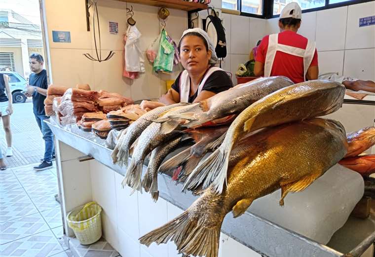Precios del pescado para Semana Santa: algunos se mantienen y otros suben levemente