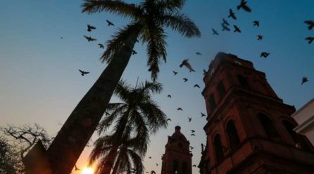 ¿Cómo estará el tiempo este fin de semana en Santa Cruz?