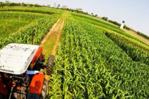 Agroindustria espera reunión con ministro de Desarrollo Rural y Tierras para tratar cupos de exportación