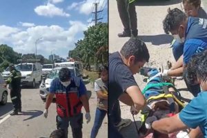 ‘Vinchita’ fue atropellado en el cuarto anillo, zona del Cordón Ecológico