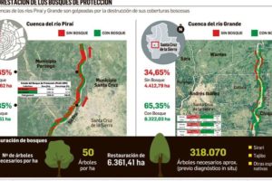 El Piraí perdió un 62,65% de bosques ribereños y el Río Grande un 34,65%