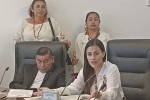 La comisión de Autonomías de Diputados sesionará en Piso Firme y habrá inspecciones sobre conflicto limítrofe con Beni