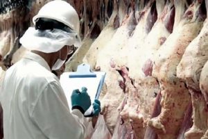 En 2023, la exportación de carne llegó a $us 200 millones y se afianza como el segundo rubro más importante del sector no tradicional