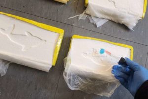 Desarticulan banda de narcos y secuestran más de 250 kilos de droga
