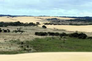 Áreas protegidas cruceñas, en el limbo por recurso de Choquehuanca en el TCP