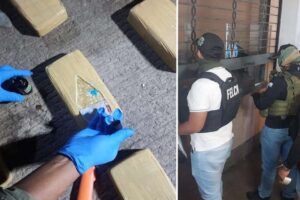 Allanan oficina de transporte en la Bimodal, por vínculos con el narcotráfico