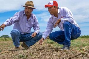 Alicorp aclara que el interés de compra de su molienda no incluye su negocio de consumo masivo