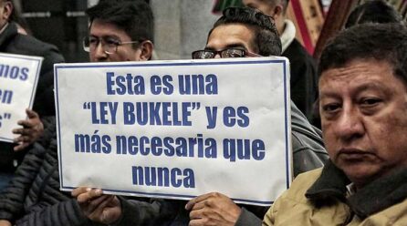 El Gobierno propone ley para juzgar de manera sumaria sin imputación