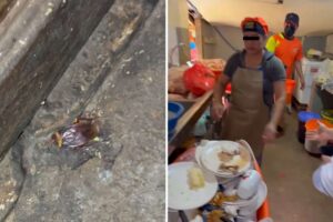 ¡Adiós a los chulupis! Concejal busca que los restaurantes abran sus cocinas al público