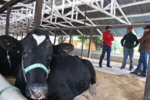 Exponorte 2024 apunta a superar los $us 11 millones en intención de negocios