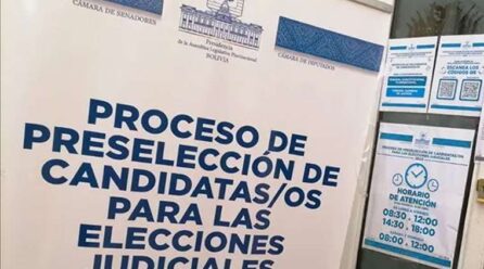 Elecciones judiciales: fracasa el diálogo bicameral y el vicepresidente del Estado