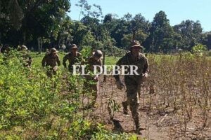 Declaran al Parque Nacional Amboró libre de cultivos de plantas de coca