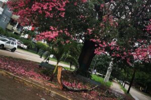 Se avecina un frente frío para este fin de semana
