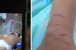 Aprehenden a cinco personas implicadas en la muerte violenta de un militar en Santa Cruz