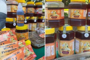 Porongo celebrará el Día Mundial de las Abejas con una venta de miel