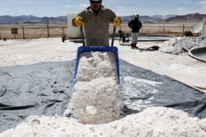 Hay 22 empresas interesadas en industrializar el litio en siete salares del país