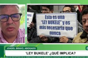Ex fiscal Joadel Bravo desahucia la ‘Ley Bukele’ propuesta por Del Castillo porque viola garantías constitucionales