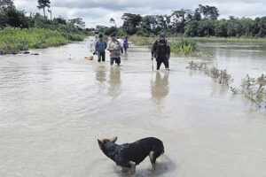 Desborde inunda 16 comunidades del pueblo Yuracaré