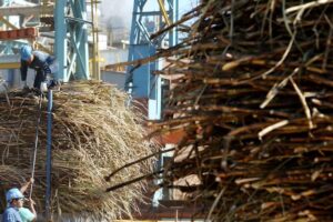 Incremento de exportación de azúcar para 2024 está condicionado a la oferta de diésel
