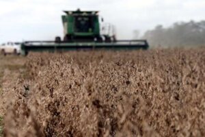 Empresarios proponen 5 soluciones inmediatas para captar dólares