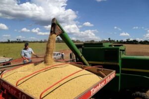 Ven a Paraguay, detrás de Brasil, como la gran fábrica de oleaginosas, mientras Argentina “se jubila”