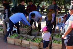 Alza histórica en el precio del tomate provoca revuelo en la población