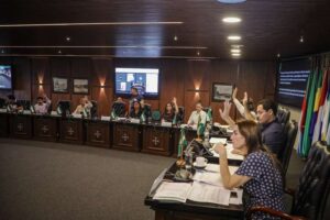 Asamblea Legislativa declara la festividad de San Juan Bautista de Bibosi como patrimonio cultural y religioso