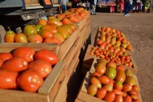 Denuncian el acopio y “fuga de productos” para el contrabando en Tarija