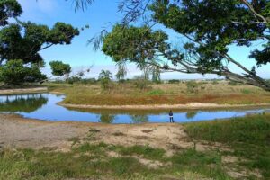 Gobernación amplía la pausa ambiental en las Lomas de Arena por seis meses más