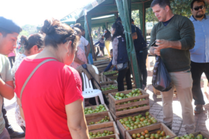 Gobierno lleva la Feria «Del Campo a la Olla» a la Paz, se instalará en la línea Roja de Teleférico