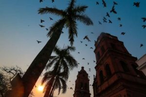¡Tomar previsiones! Pronostican fuertes vientos hasta el fin de semana en Santa Cruz