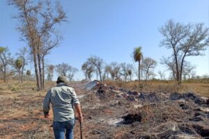 Hay pocas razones para celebrar el Día del Medioambiente en Bolivia