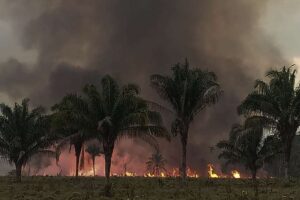 Gobernación emite alerta amarilla ante los incendios forestales en Santa Cruz