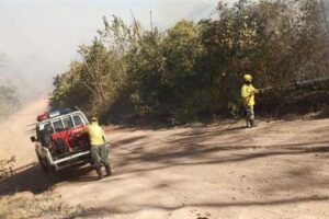 Cuatro municipios de la Chiquitania registran incendios forestales