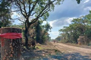 Predios municipales avasallados están destinados a un parque urbano y sirven como regulador de las aguas