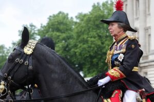 La Princesa Ana es hospitalizada por conmoción cerebral