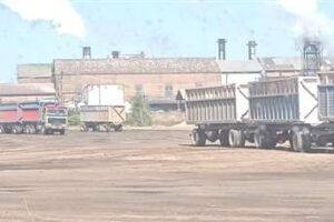 Falta de diésel pone en apuros a los ingenios y productores de caña