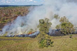 Se disparan los incendios forestales en el departamento cruceño