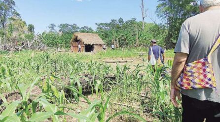 Indígenas sin territorio, el pecado mortal del Estado Plurinacional