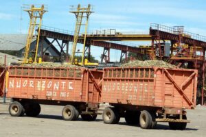 Zafra cañera: Ingenios operan a un 25% por falta de materia prima que se queda en el campo por escasez diésel