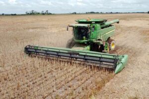Alertan productores: por sequía, los excedentes para exportar aceite y torta de soya se verán afectados