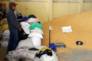 Lecheros piden subir el precio del alimento a Bs 4,50 el litro y se declaran en emergencia
