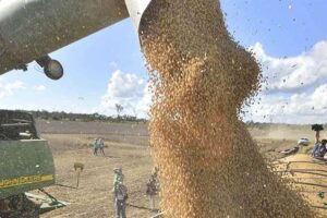 Aumenta el déficit comercial de Bolivia en los primeros cinco meses de 2024