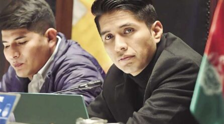 Hay arcistas y evistas que apuntan a Andrónico para unir a un MAS dividido