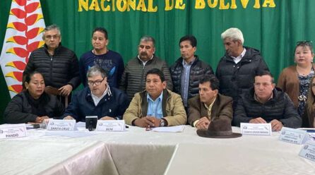 Movimiento Cívico Nacional se opone al referéndum y lo califica como una «distracción» a los problemas del país