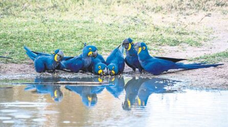 Preservar la riqueza natural, un complejo desafío