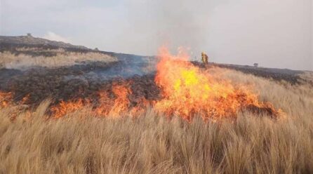 Incendios: Proponen crear el Comando Nacional de Bomberos Forestales